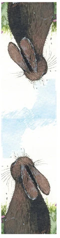 <span itemprop='brand'>Alex clark</span> <span itemprop='sku'>8X2,5</span> nagyítás