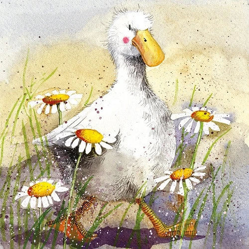 Alex clark AC579 nagyítás