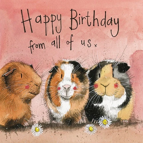 Alex clark AC651 nagyítás