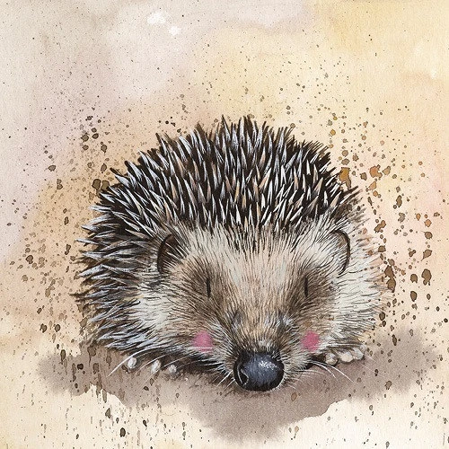 Alex clark AC669 nagyítás