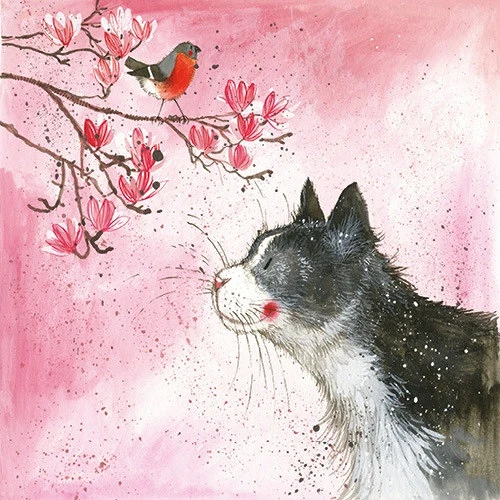 Alex clark AC695 nagyítás