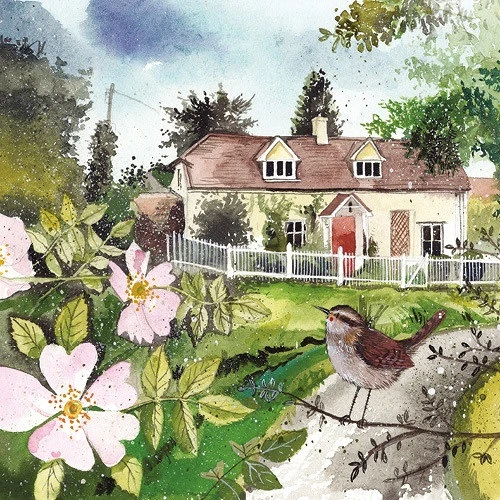 Alex clark AC796 nagyítás