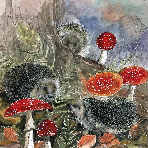 Alex clark AC843 nagyítás