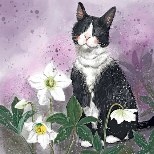 Alex clark AC880 nagyítás