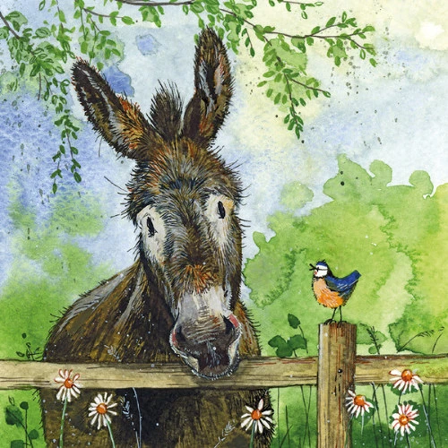 Alex clark AC887 nagyítás