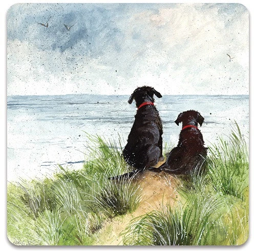 <span itemprop='brand'>Alex clark</span> <span itemprop='sku'>C146</span> nagyítás