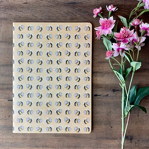 Alex clark SNL10 nagyítás