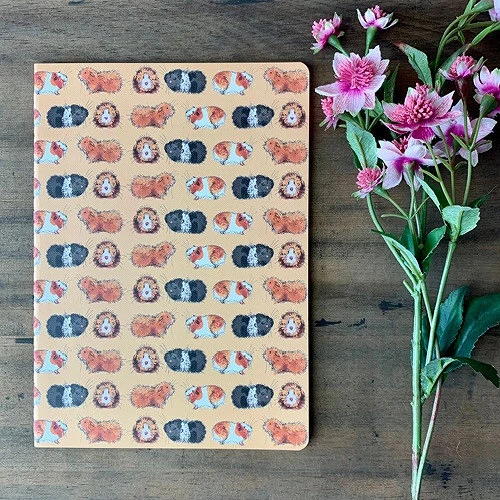 Alex clark SNL13 nagyítás