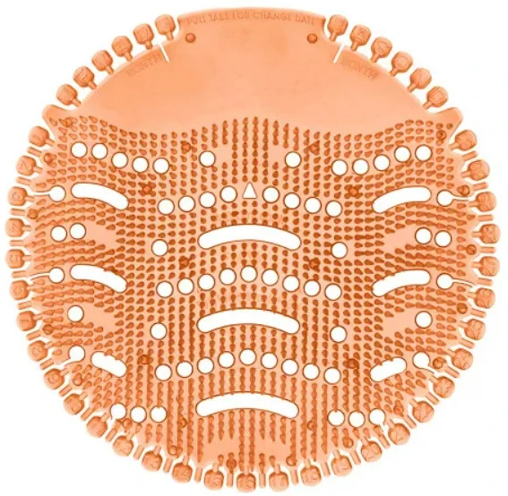 Alpha PISZBERRY1 nagyítás