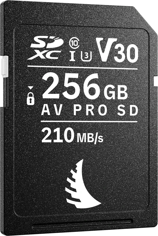 Angelbird AV256SDM2V30 nagyítás