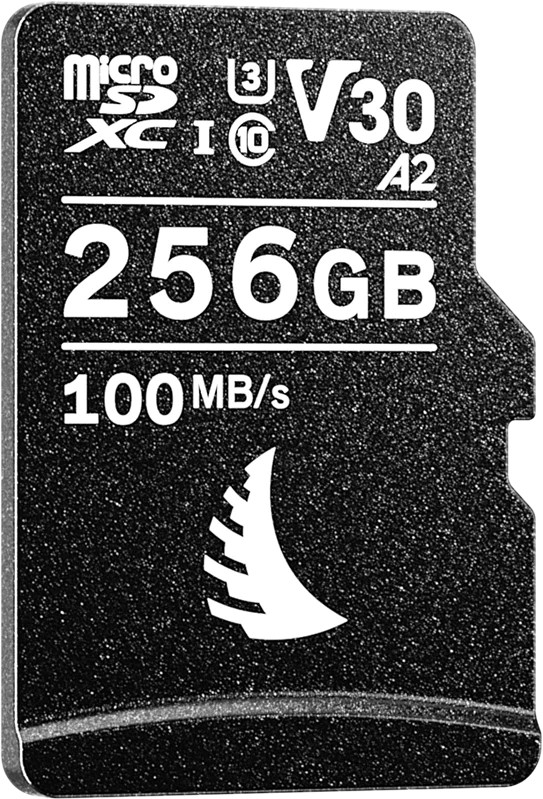 Angelbird AVP256MSDV30 nagyítás