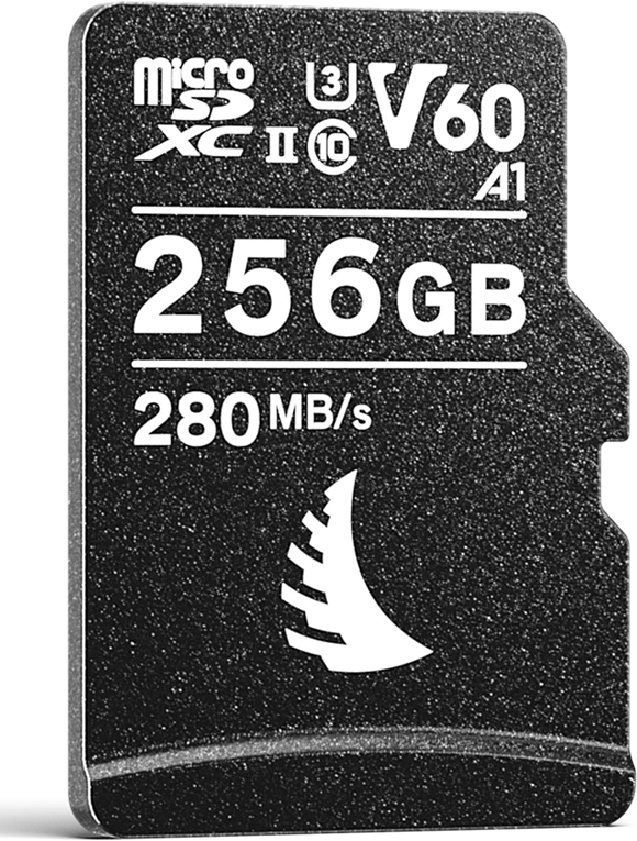 Angelbird AVP256MSDV60 nagyítás