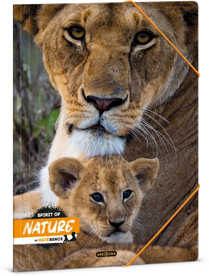 Ars una 50214334 nagyítás