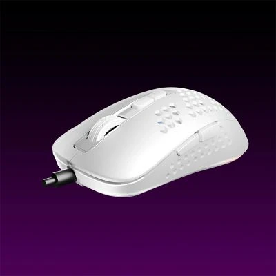 Avax LW01W nagyítás