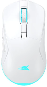 Baracuda BGM-122W TURTLE-W nagyítás