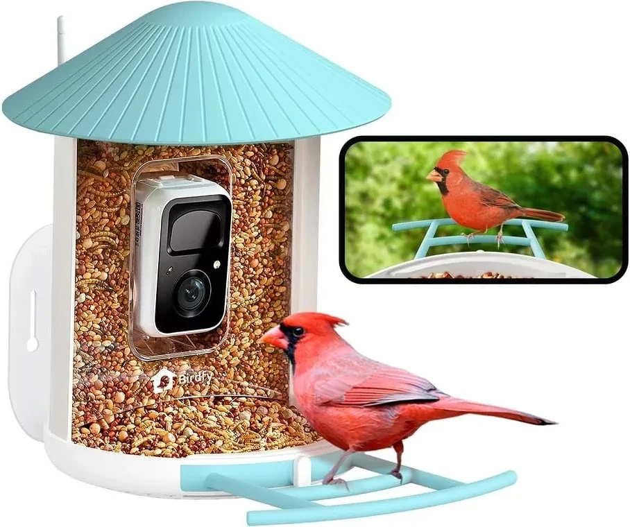 Birdfy EPPAMBNI8101100 nagyítás