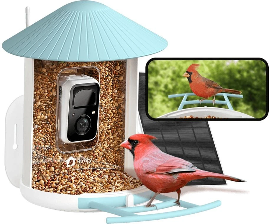 Birdfy EPPAMBNI8101110 nagyítás