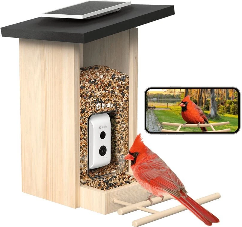 Birdfy EPPAMBNI8702110 nagyítás