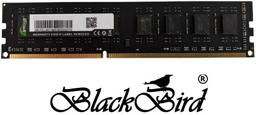 Blackbird BH1846 nagyítás