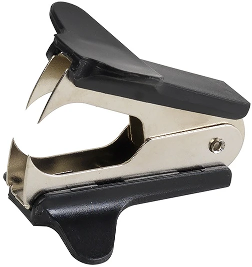 Bluering 1297404 nagyítás