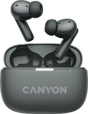 <span itemprop='brand'>Canyon</span> <span itemprop='sku'>CNS-TWS10BK</span> nagyítás