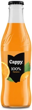 <span itemprop='brand'>Cappy</span> <span itemprop='sku'>30.01329</span> nagyítás