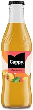 <span itemprop='brand'>Cappy</span> <span itemprop='sku'>30.01333</span> nagyítás