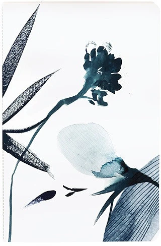 Clairefontaine 115925C nagyítás