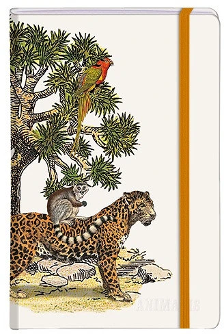 Clairefontaine 115995C nagyítás