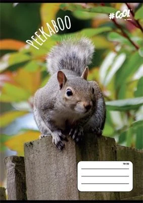 Cool by victoria COR_ISVFC60 nagyítás