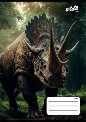 Cool by victoria COR_ISVFC63 nagyítás