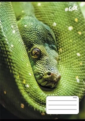 Cool by victoria COR_ISVFC68 nagyítás