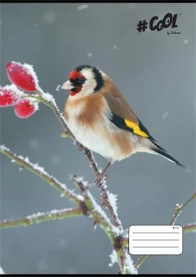 Cool by victoria COR_ISVFC83 nagyítás