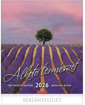 Csg 23.0130027 nagyítás