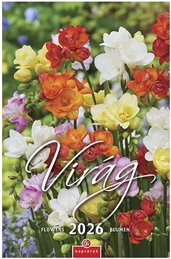 Csg 23.013015 nagyítás