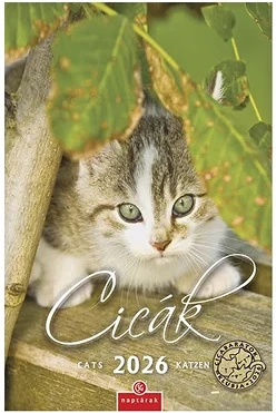 Csg 23.013018 nagyítás