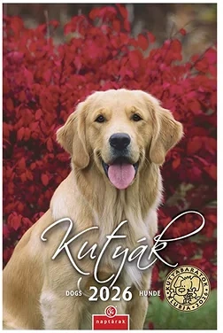 Csg 23.013020 nagyítás