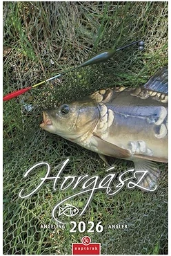 Csg 23.013022 nagyítás