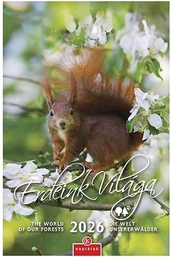 Csg 23.09066 nagyítás