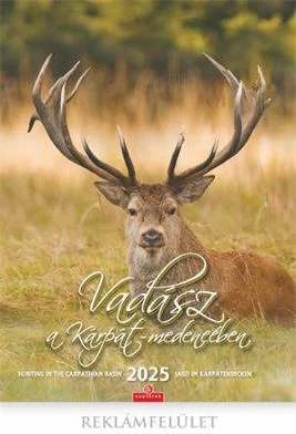 Csg COR_NCFN081 nagyítás