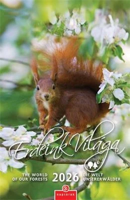 Csg COR_NCFN084 nagyítás