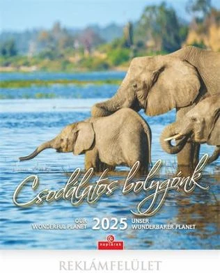 Csg COR_NCFNU10 nagyítás