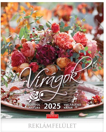 Csg FN 004 nagyítás