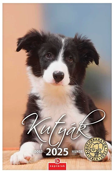 Csg FN 098 nagyítás