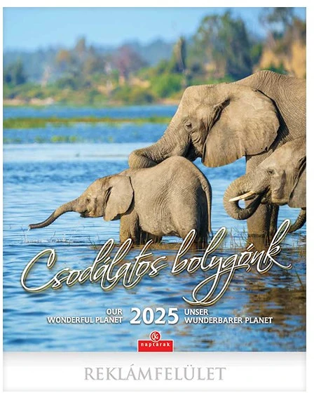 Csg FN U10CS nagyítás