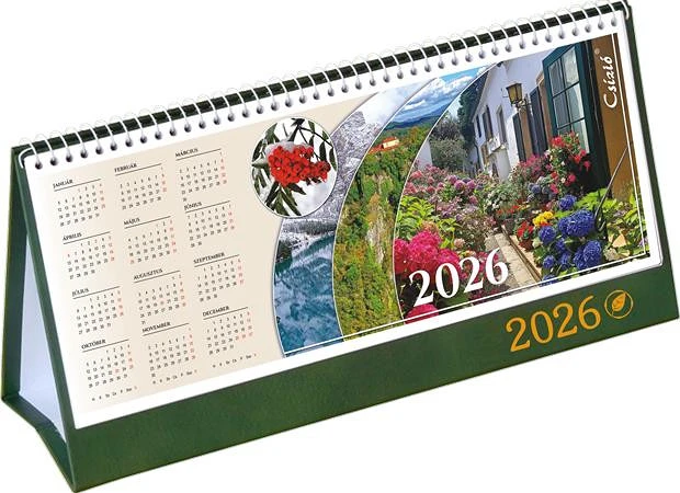 Csízió 003 nagyítás