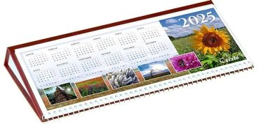 Csízió COR_NCSFBO nagyítás