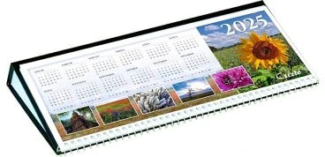 Csízió COR_NCSFFK nagyítás