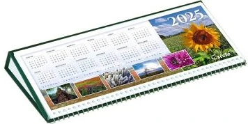 Csízió COR_NCSFZ nagyítás