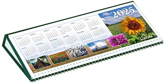 Csízió FZOK nagyítás